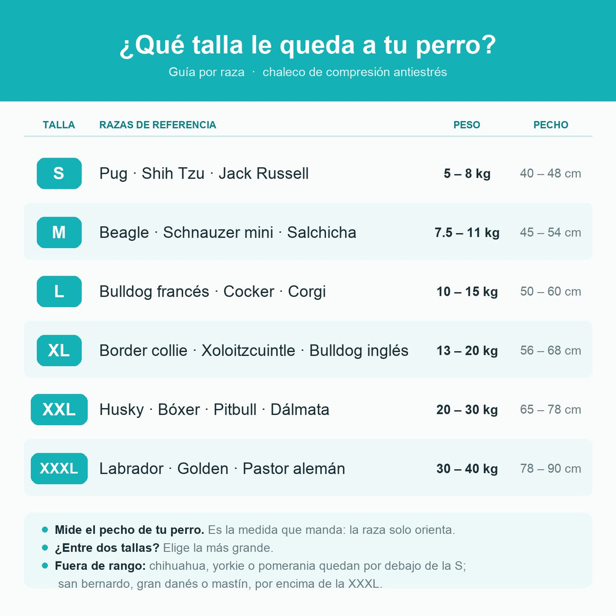 Guía de tallas por raza del chaleco antiestrés PetSolver: S para pug, shih tzu o jack russell de 5 a 8 kg; M para beagle, schnauzer mini o salchicha de 7.5 a 11 kg; L para bulldog francés, cocker o corgi de 10 a 15 kg; XL para border collie, xoloitzcuintle o bulldog inglés de 13 a 20 kg; XXL para husky, bóxer, pitbull o dálmata de 20 a 30 kg; XXXL para labrador, golden o pastor alemán de 30 a 40 kg