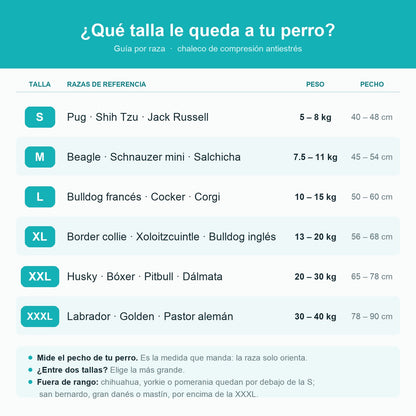 Guía de tallas por raza del chaleco antiestrés PetSolver: S para pug, shih tzu o jack russell de 5 a 8 kg; M para beagle, schnauzer mini o salchicha de 7.5 a 11 kg; L para bulldog francés, cocker o corgi de 10 a 15 kg; XL para border collie, xoloitzcuintle o bulldog inglés de 13 a 20 kg; XXL para husky, bóxer, pitbull o dálmata de 20 a 30 kg; XXXL para labrador, golden o pastor alemán de 30 a 40 kg